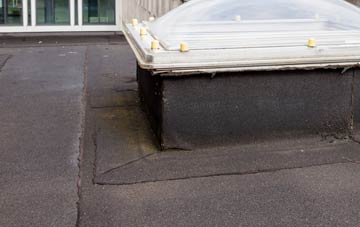 disadvantages of Pont Newydd flat roofs