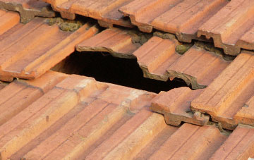 roof repair Pont Newydd
